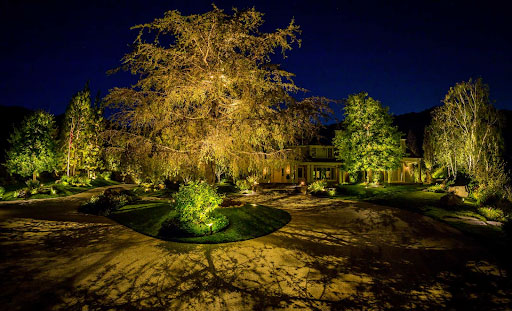 cast-tree-lighting-natural-focal